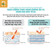 S?a r?a m?t d?ng b?t dành cho da d?u CURÉL SEBUM TROUBLE CARE SEBUM CARE FOAMING WASH (150 ml) - CU000004 - Rosslyn