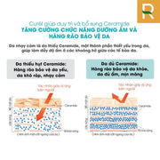 S?a ch?ng n?ng Curél Uv Protection Milk 60ml Spf 50+ PA+++ - CU000006 - Rosslyn