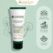Caryophy Portulaca Cleansing Foam 150ml - CA000000