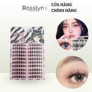 Set 12 hàng mi gi? - DC101 - Rosslyn