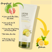 S?a R?a M?t chi?t xu?t chanh THE FACE SHOP Herb Day 365 Master Blending Facial Foaming Cleanser Lemon & Grapefruit 170ml - TF000023  -Rosslyn