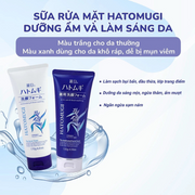 S?a R?a M?t T?y Trang Reihaku Hatomugi W Cleansing Facial Foam 170g - RH000001 - Rosslyn