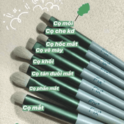 Các c? có trong b? c? trang ?i?m cá nhân 13 món c? b?n lông m?m ?a n?ng