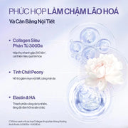 Th?c ph?m b? sung GILAA - Rosslyn