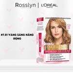 Kem Nhu?m D??ng Tóc Ph? B?c L'Oreal Excellence Creme 172ml - LP000017 - Rosslyn - Rosslyn-vn