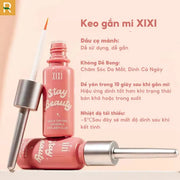 Keo dán mi XIXI - DC57 - Rosslyn