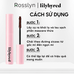 Mascara Siêu M?nh, Dài và Ch?ng Trôi Lilybyred am9 to pm9 Survival Colorcara 6g - Rosslyn - Rosslyn-vn