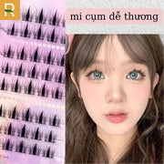 set-mi-gia-giup-mat-long-lanh