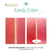 ?? Chu?n Màu C?a Son Kem Lì Black Rouge Double Layer Over Velvet ver 3