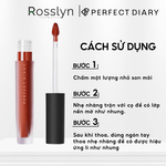 Son Kem Lì Perfect Diary Ultra Dreamworld Matte Lip Color 2.5g - Rosslyn - Rosslyn-vn
