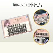 Lông Mi Gi? Hình Hoa H??ng D??ng 3 Nhánh M?ng, T? N?i - Rosslyn