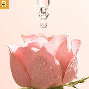 Tinh ch?t hoa h?ng Cocoon 30ml - CC000020 - Rosslyn
