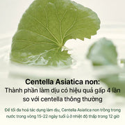 M?t n? h? tr? ph?c h?i da LUVUM calming repair cica gel mask 33g - LV000000 - ROSSLYN